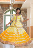 Classic Ombre Hand Crafted Lehenga Choli Dupatta Set